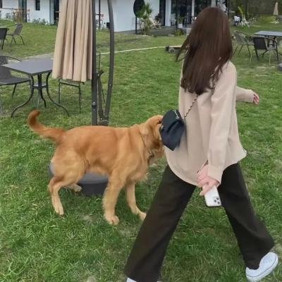 雅达布与波尔