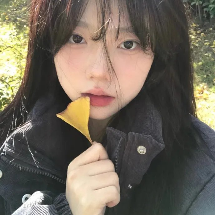 老木的秘密